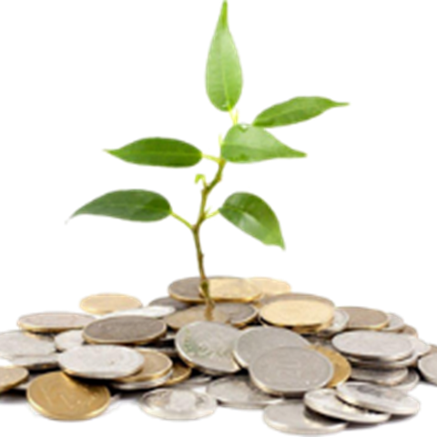 En grön växt som växer ur en hög med mynt. Foto med illustration.