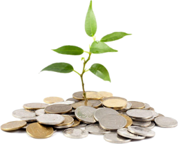 En grön växt som växer ur en hög med mynt. Foto med illustration.