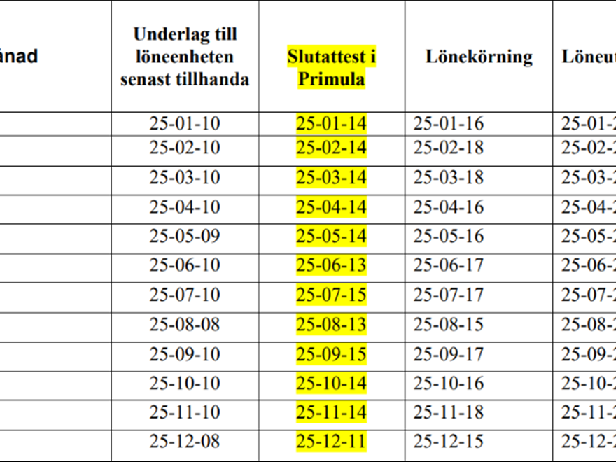 skärmbild lönekörningsschema 2025