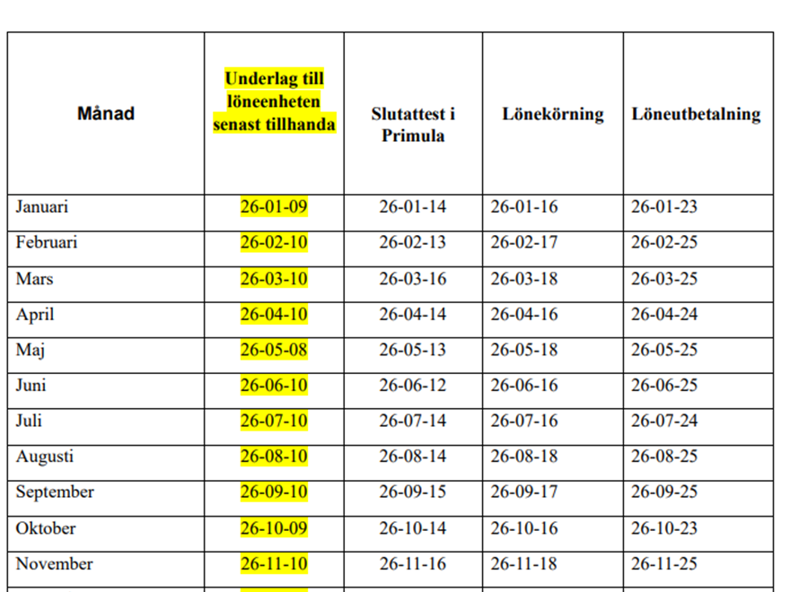 Bild av lönekörningschema