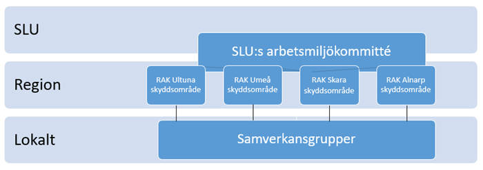 SLU arbetsmiljöorganisation.foto