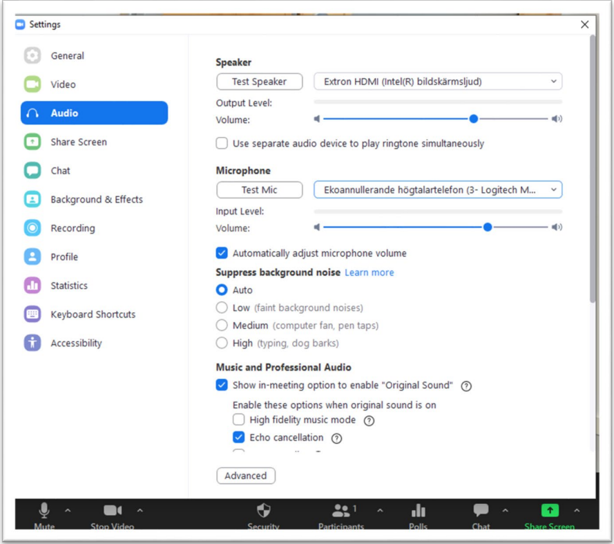 Zoom settings audio