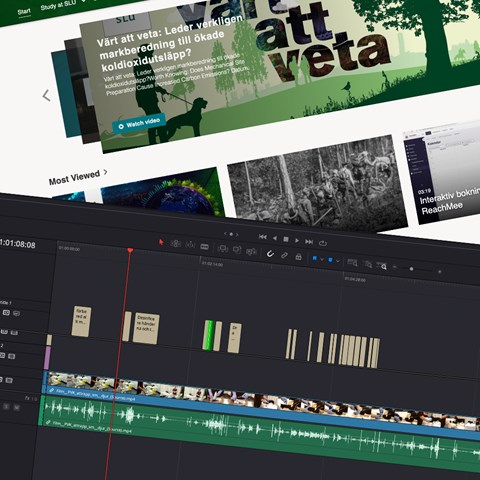 Davinci resolve utbildning