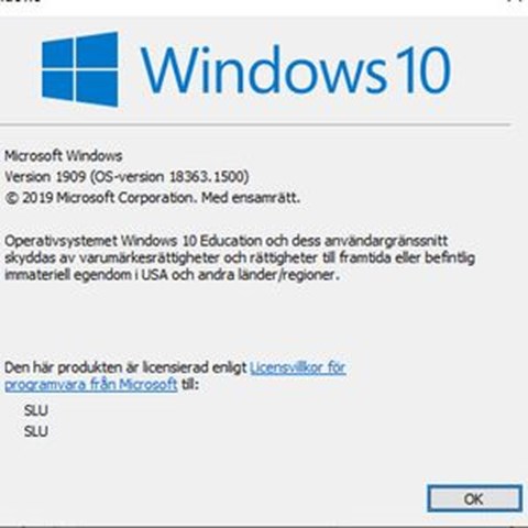 Windows version