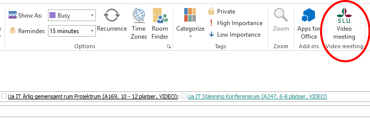Video meeting plugin för SLU