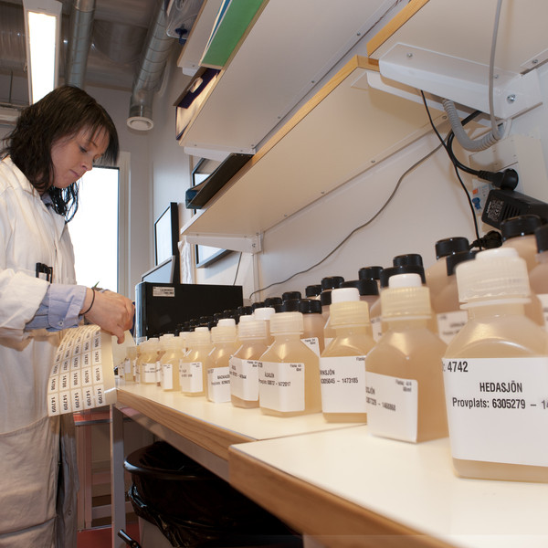 Vattenprover i Mark-vatten-miljöhusets vattenkemiska labb vid SLU i Uppsala. Foto: Mark Harris