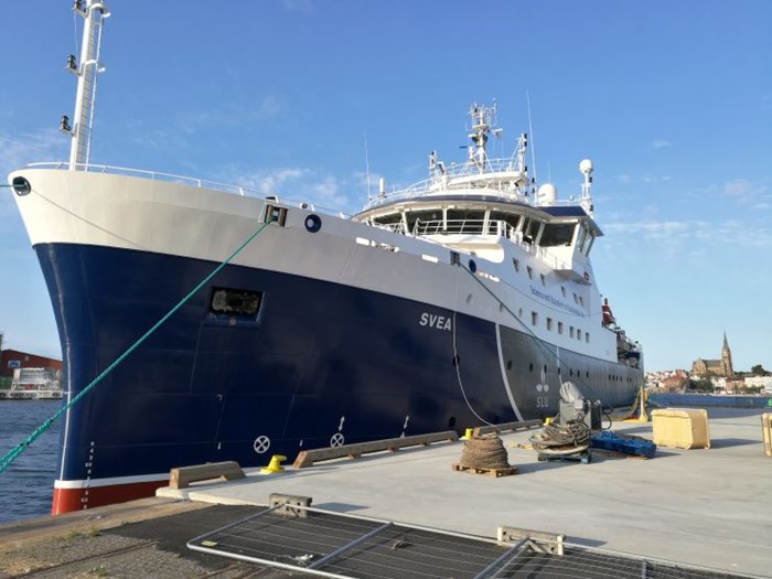 Forskningsfartyget R/V Svea i Lysekils hamn. Foto: Ivan Clegg, SLU