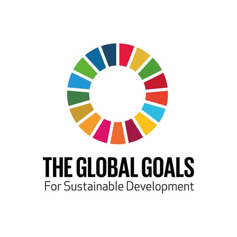 Logo for UN's global goals