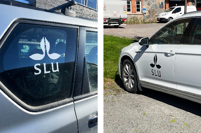 White SLU decal attached to a car window, and a black SLU decal attached to the driver's door of a white car.