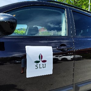 Vit dekal med SLU-logotyp fäst på svart bils sidodörr.