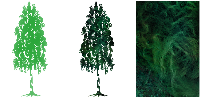 Illustration of a beech tree containing laser data from forestry remote sensing.