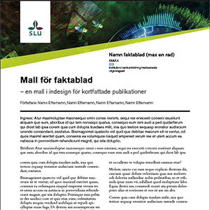 Sida med malltext. Foto.