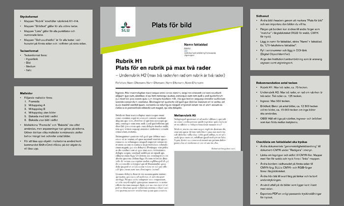 Front page of the fact sheet template with accompanying instructional boxes around.