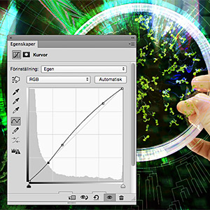 Picture of image editing in Adobe Photoshop