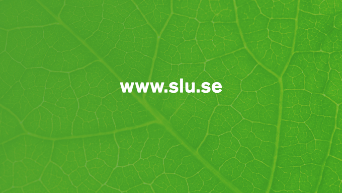 The picture shows the video graphics template for a web address on a leaf green background.