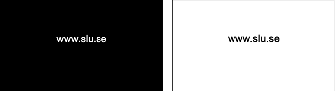 Bilden visar filmgrafikmallen för webbadress på svart respektive vit  bakgrund.