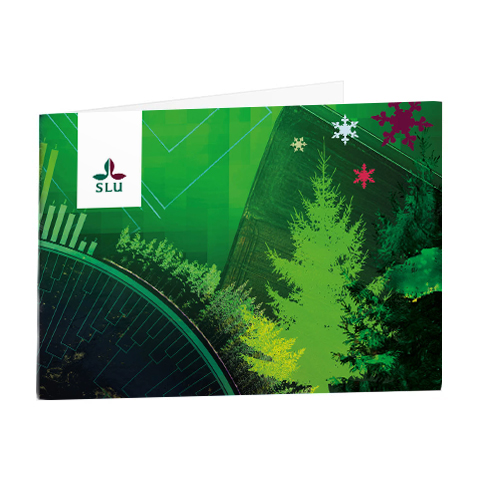 Picture of the SLU christmas card of 2024