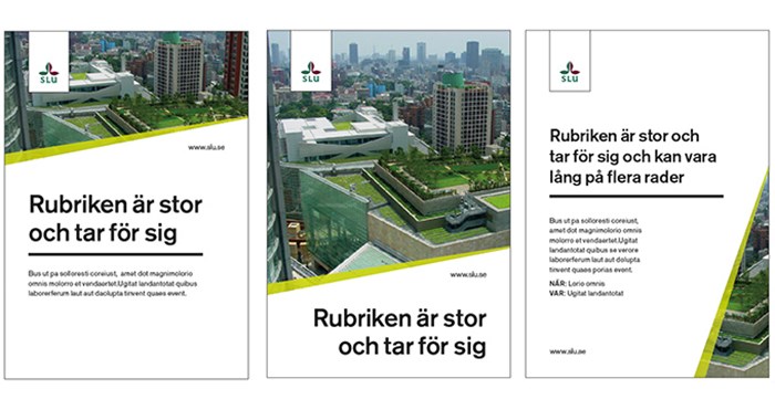 Three examples of layout for A3-posters using photos.