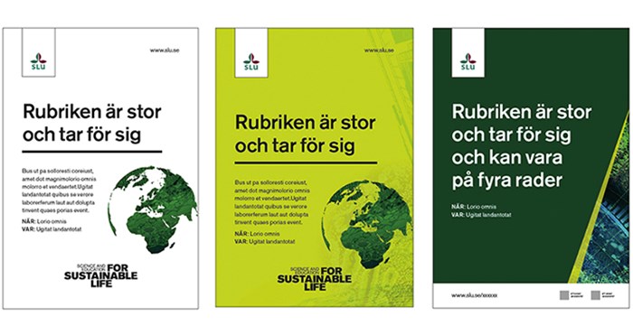 Three examples of A3-posters using coloured background and illustrations. a