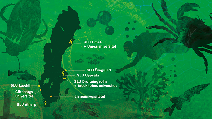 Exempel på grön sida med infografik.