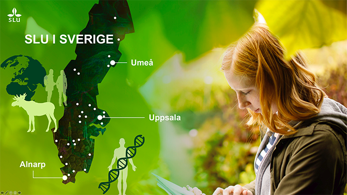 Foto av grönt lövverk och tjej som läser i kombination med illustrationer och sverigekarta.