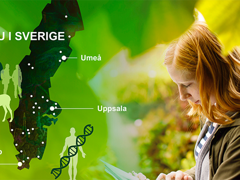 Foto av grönt lövverk och tjej som läser i kombination med illustrationer och sverigekarta.