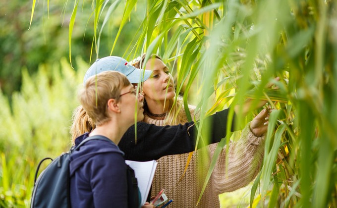 Fokuserade och nyfikna studenter undersöker material i Alnarps sortiment. Foto: Mårten Svensson