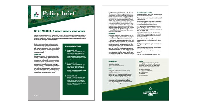 Policy briefs