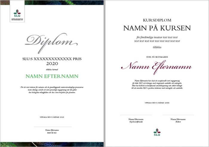 Picture of the two different versions of the diploma template, with and without a frame containing the SLU image collage.