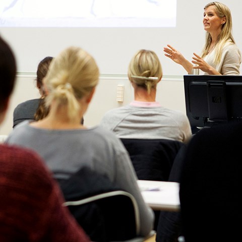 Föreläsare och deltagare i en undervisningssal