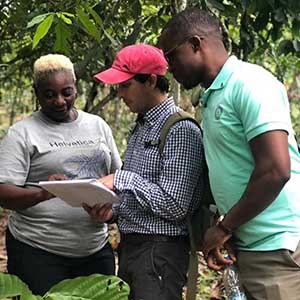 Francisco engages in conversation about how climate change is affecting cocoa socio-ecological systems with Charles King (Liberian Central Agricultural Research Institute) and Julie Weah (Foundation for Community Initiatives) in Ivory Coast. The visit was sponsored by a FORMAS international network for the SDGs grant