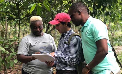 Francisco engages in conversation about how climate change is affecting cocoa socio-ecological systems with Charles King (Liberian Central Agricultural Research Institute) and Julie Weah (Foundation for Community Initiatives) in Ivory Coast. The visit was sponsored by a FORMAS international network for the SDGs grant. 