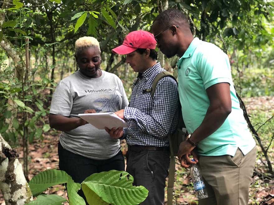 Francisco engages in conversation about how climate change is affecting cocoa socio-ecological systems with Charles King (Liberian Central Agricultural Research Institute) and Julie Weah (Foundation for Community Initiatives) in Ivory Coast. The visit was sponsored by a FORMAS international network for the SDGs grant.
