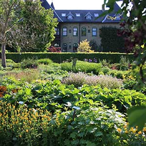 Perenner i Alnarpsparken, foto.