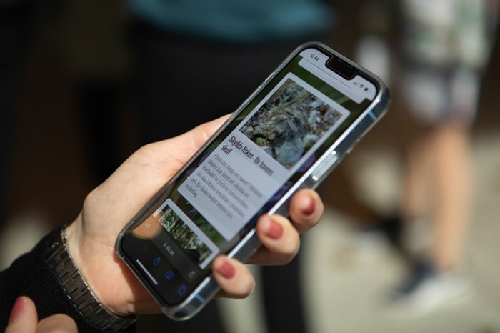 Bild av en hand som håller i en smartphone. På skärmen syns en bild, en rubrik och en brödtext.