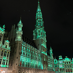 Hôtel de Ville de Bruxelles – Bryssels stadshus upplyst i grönt