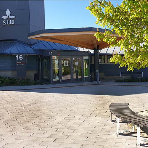 Ingång till SLU-byggnaden Ekologicentrum med en modern bänk i förgrunden, ett träd till höger och en klarblå himmel ovanför. Byggnadens arkitektur visar en blandning av glas och trämaterial på en solig dag.
