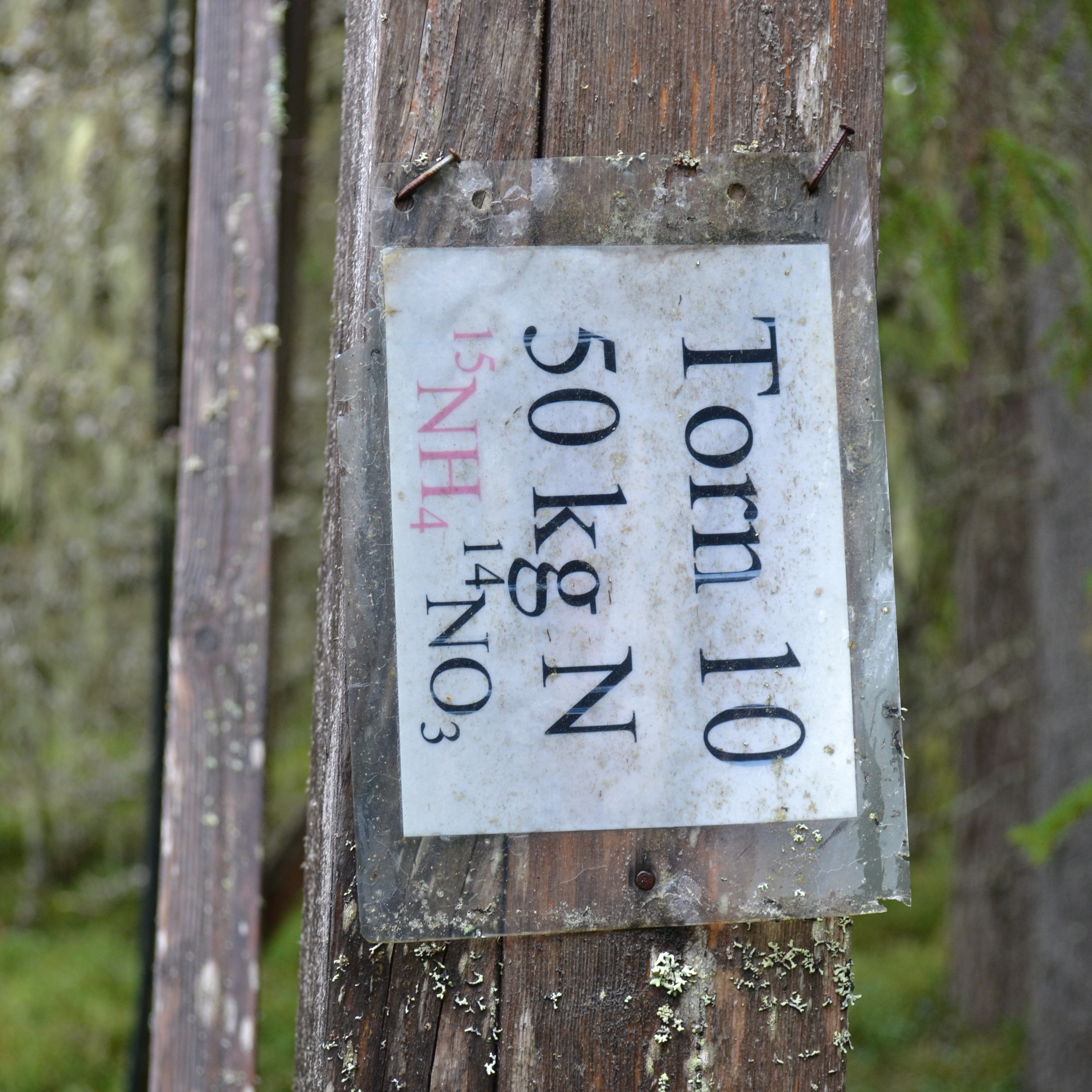 äldre skogligt försök