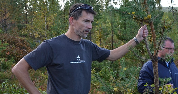 Jonas Fridman, programchef Riksskogstaxeringen