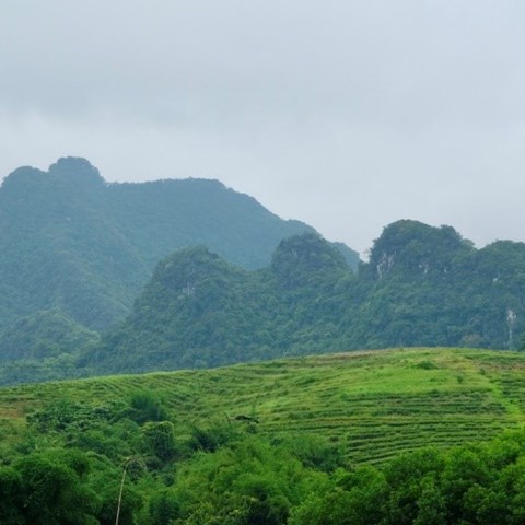 Vietnamesiskt landskap