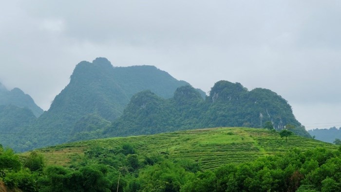 Vietnamesiskt landskap