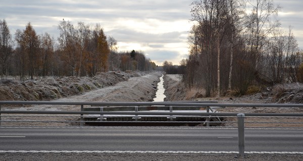 Degernäsbäcken, Umeå, oktober 2019