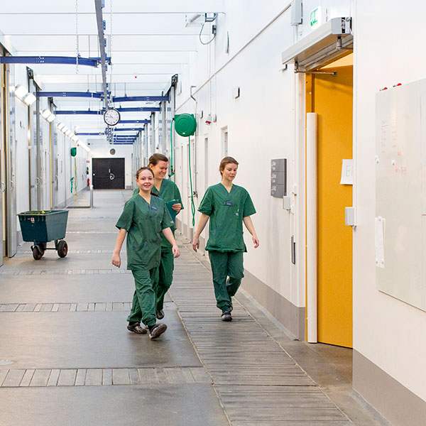 Studenter under praktik i VHC, foto.