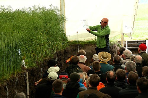 Den berömda Gropen på Borgeby. Foto: HIR Skåne
