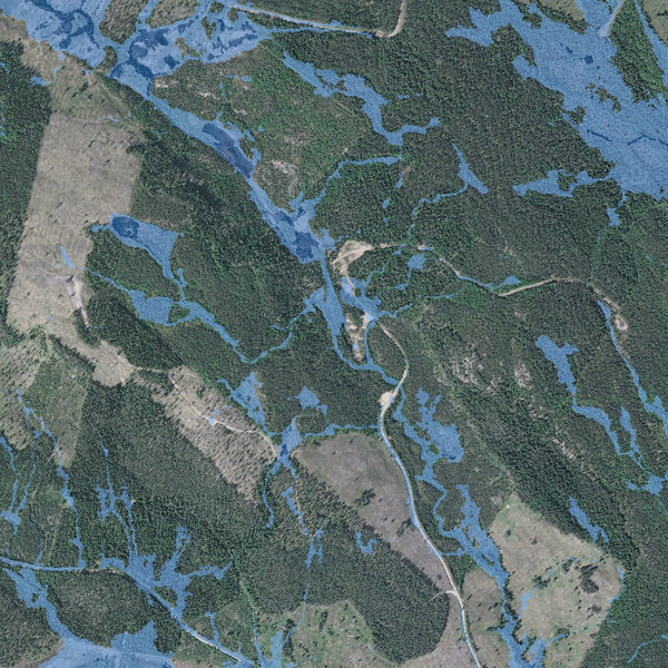 Markfuktskarta. Bild: William Lidberg, SLU