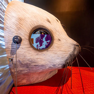 Interaktiv utställning om miljögifter på Baltic Sea Science Center på Skansen. Foto: Mark Harris för SLU.