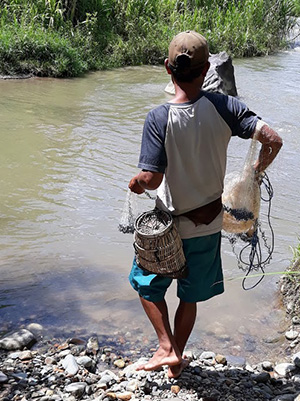 Man med provtagningsutrustning påväg ner i vattnet i ett vattendrag i Indonesien. Foto.