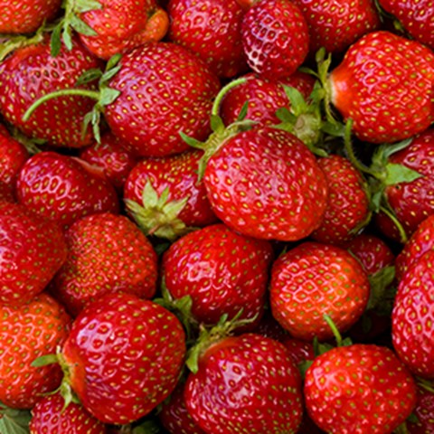 Photo of strawberries
