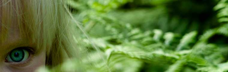 Öga i vegetation. Foto