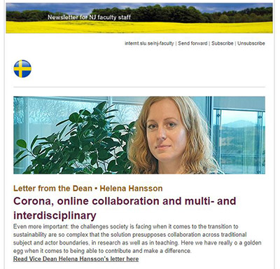 NJ Faculty newsletter